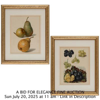 Sale Photo Thumbnail #480