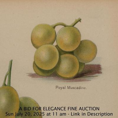 Sale Photo Thumbnail #482