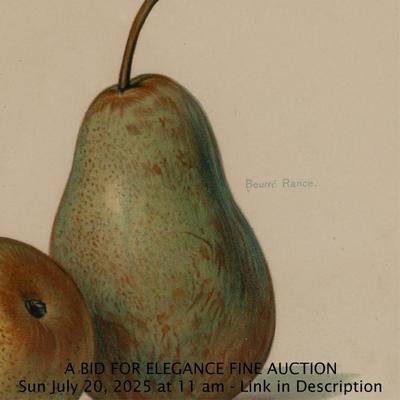Sale Photo Thumbnail #485
