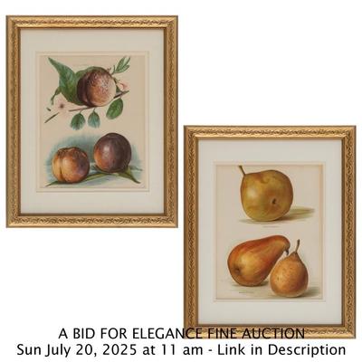 Sale Photo Thumbnail #473