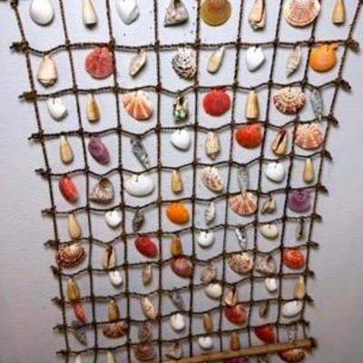 Seashell Wall Art 