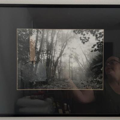 Marlene J Hodge Backlight Photography Seminary Hill In Fog 