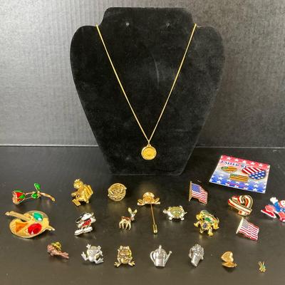 Costume Jewelry Pin and Necklace Lot