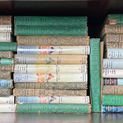 Bobbsey Twins Hardcover Kids Book Collection