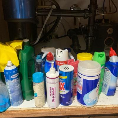 Miscellaneous Used Cleaning Supplies
