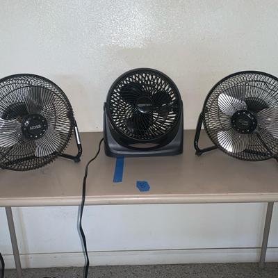 Small Fan Collection
