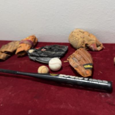 Baseball Gloves and Bat