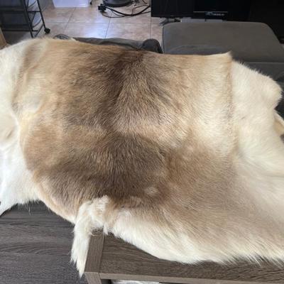 BEAUTIFUL SKIN RUG..