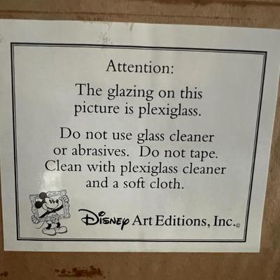 DISNEY DISCLAIMER...
