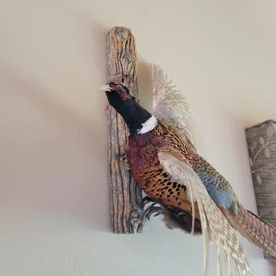 Sale Photo Thumbnail #64