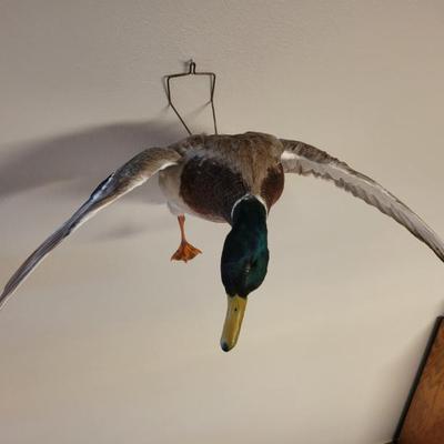 Sale Photo Thumbnail #123