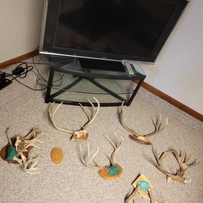 Sale Photo Thumbnail #126