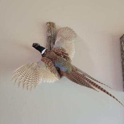 Sale Photo Thumbnail #63