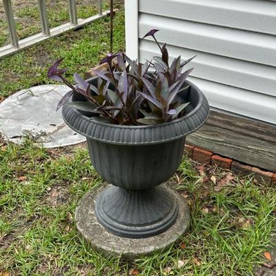 Sale Photo Thumbnail #55