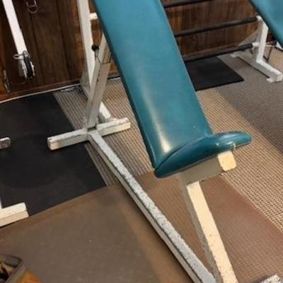 Cobra exercise bench