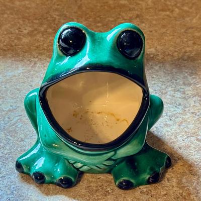 Frog Sponge Holder 