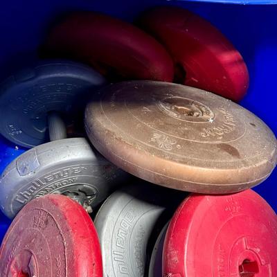 Mystery Lot Of Weights