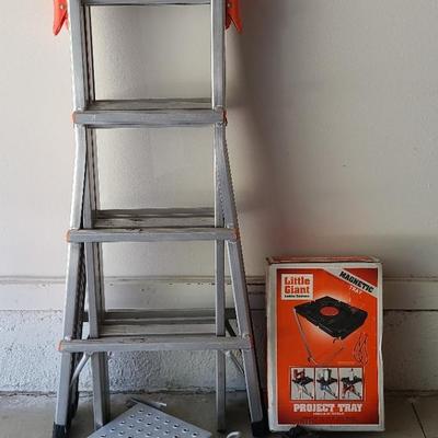 Revolution Little Giant Ladder And Accessories 
