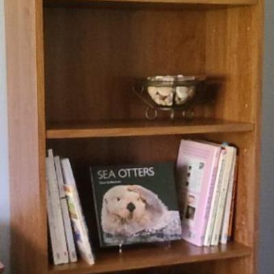 Charming Wooden Bookshelf