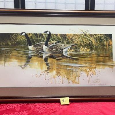 Sale Photo Thumbnail #32: Canada Geese family