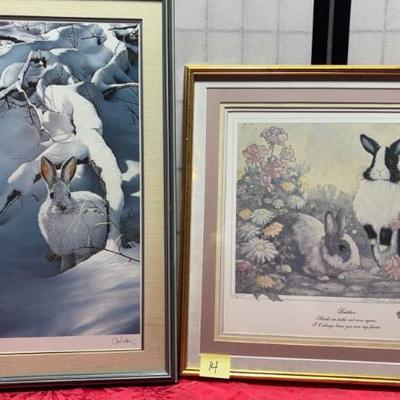 Sale Photo Thumbnail #16: Bunnies galore