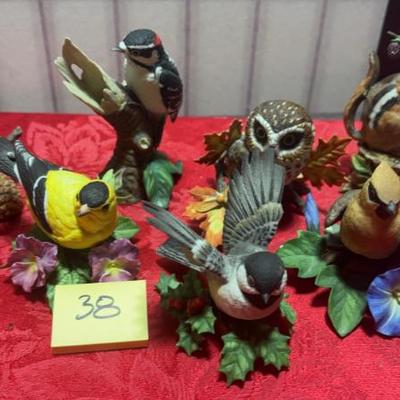 Sale Photo Thumbnail #53: Lenox flock together