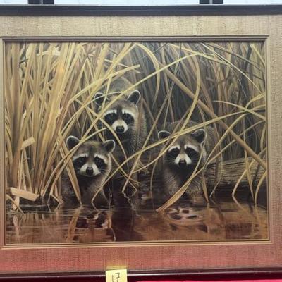 Sale Photo Thumbnail #77: Raccoons
