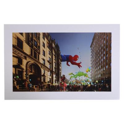 Sale Photo Thumbnail #456