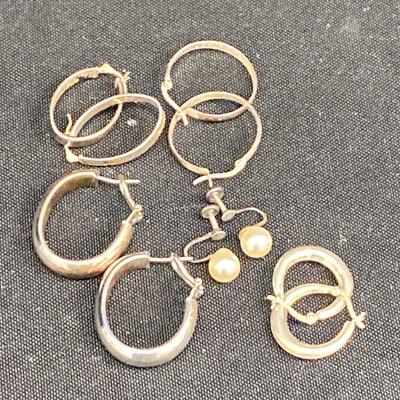 Sterling Earrings