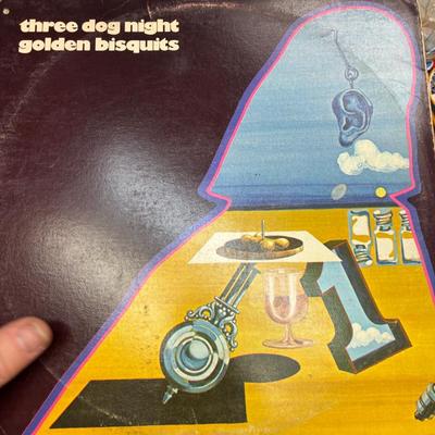 Vinyl Record