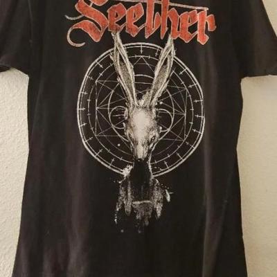 Seether 2018 poison the parish 1)