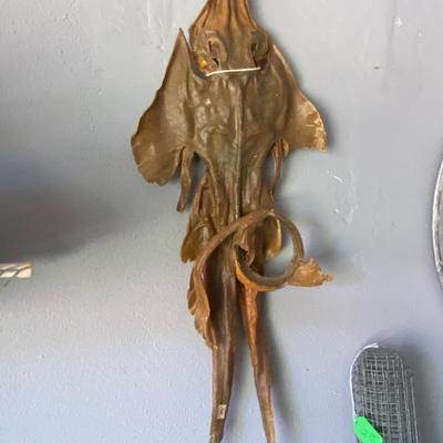 Sale Photo Thumbnail #92: petrified sea skate