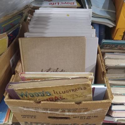 Sale Photo Thumbnail #148