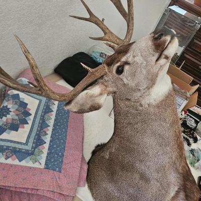Sale Photo Thumbnail #231