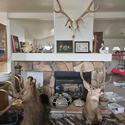 Sale Photo Thumbnail #166