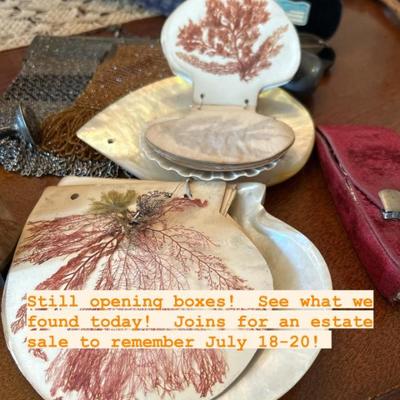 Victorian Herbarium In Seashells 