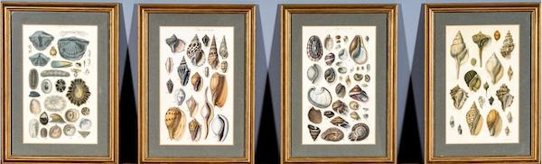 Sale Photo Thumbnail #173