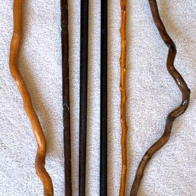 A collection of walking sticks
