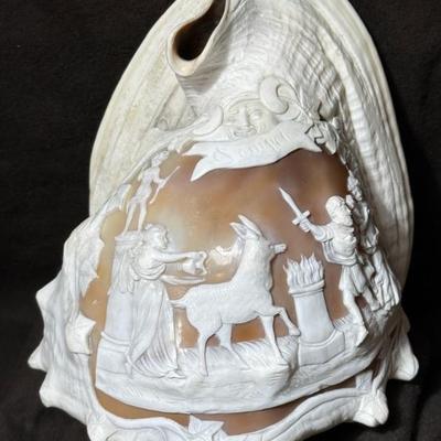 Antique Pompei carved cameo conch shell