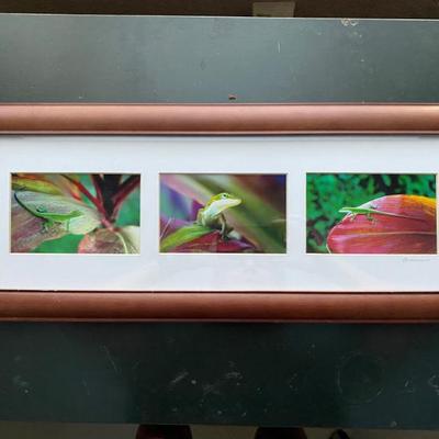 Sale Photo Thumbnail #114