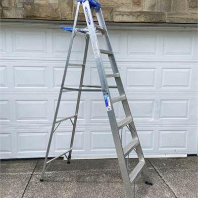 Werner Aluminum Ladder .jpg