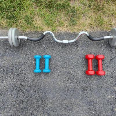 Fitness equipment - EZ curl bar + hand weights