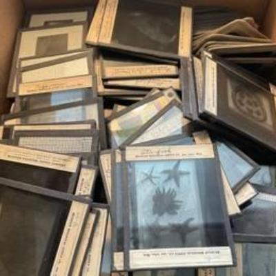 Sale Photo Thumbnail #53