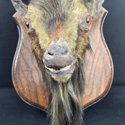 Billy Goat Gruff