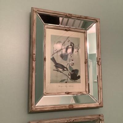 Sale Photo Thumbnail #111: $42 mirrored Hudson’s Bay Titmouse