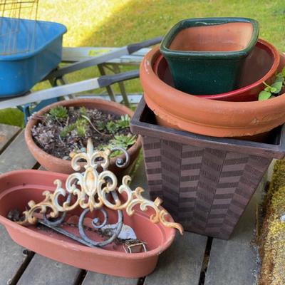 Pots and Succulents 