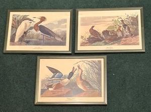 Sale Photo Thumbnail #26