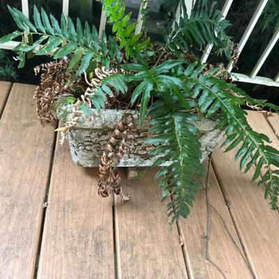 Planters