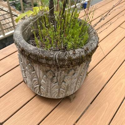 Pots in various sizes 
