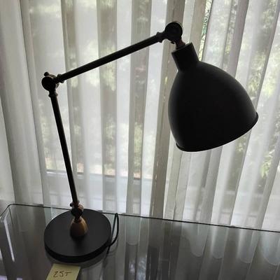 Contemporary Adjustable Desk Lamp